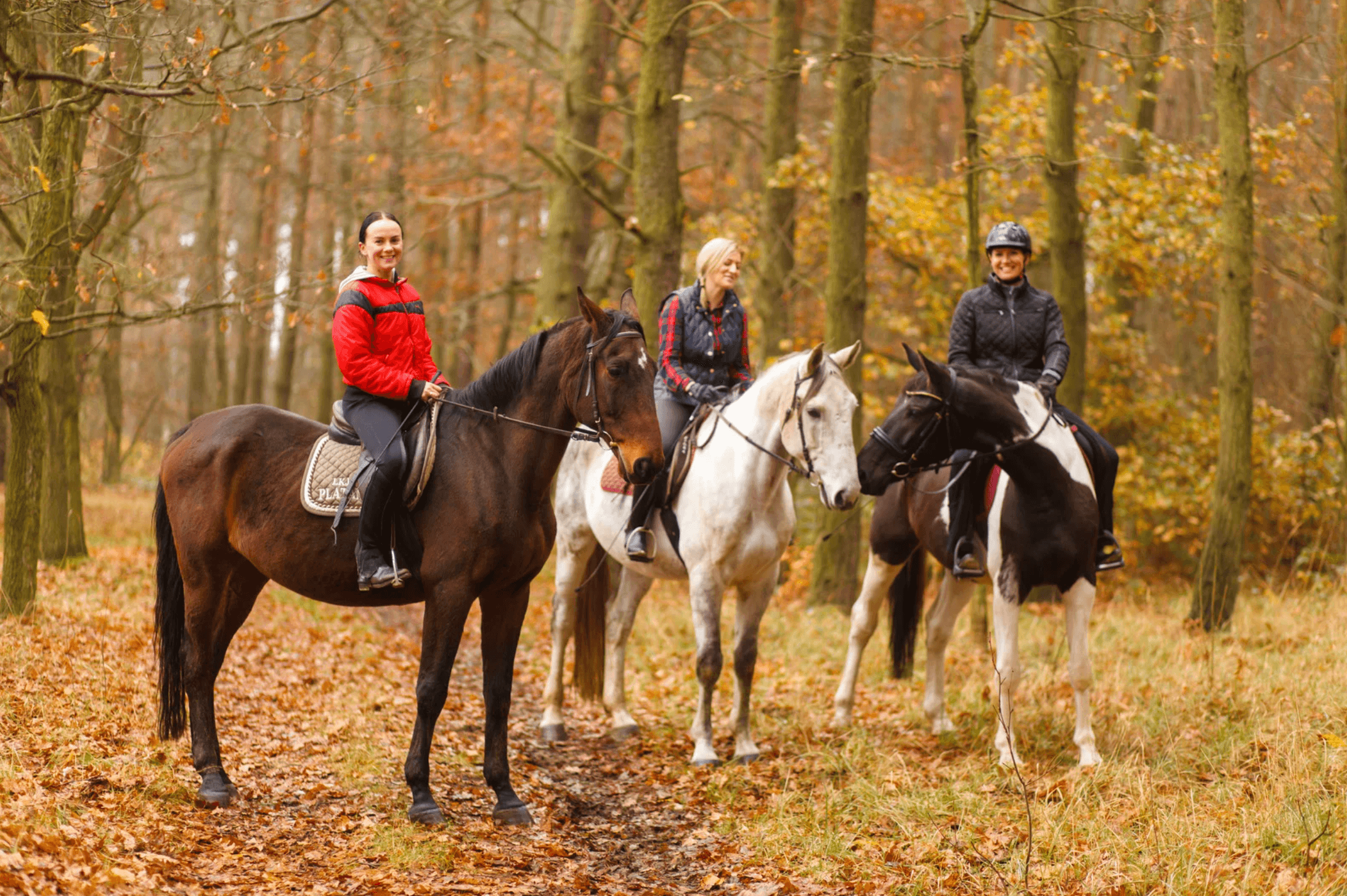 Horseback Riding